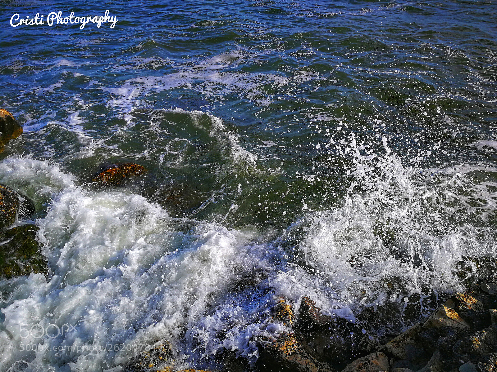 HUAWEI P10 sample photo. Untitled photography