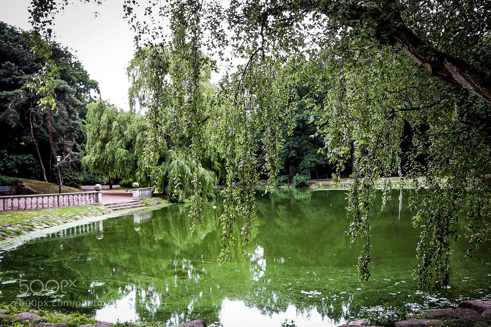 Canon EOS 80D sample photo. Parklife in malmö photography