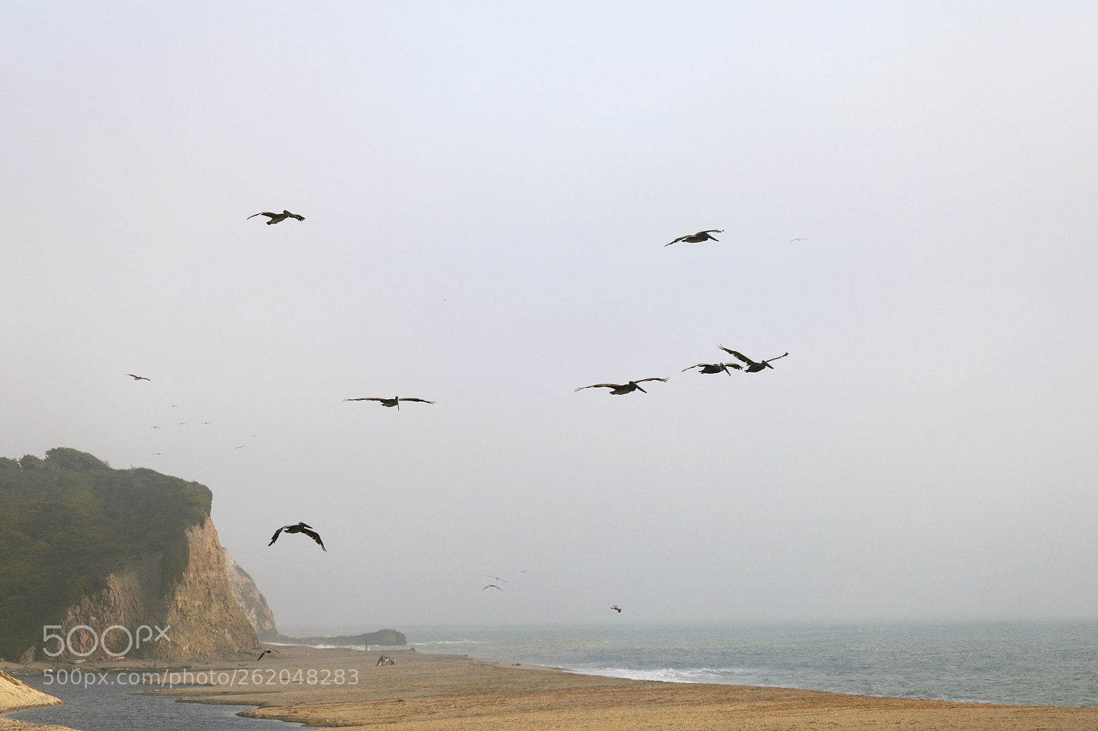 Canon EOS 5D Mark IV sample photo. Pelicans point on highway photography