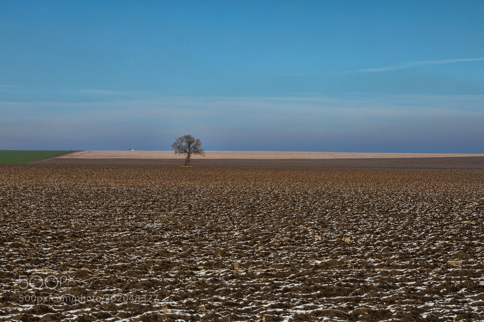 Canon EOS 5D Mark IV sample photo. Minimal photography