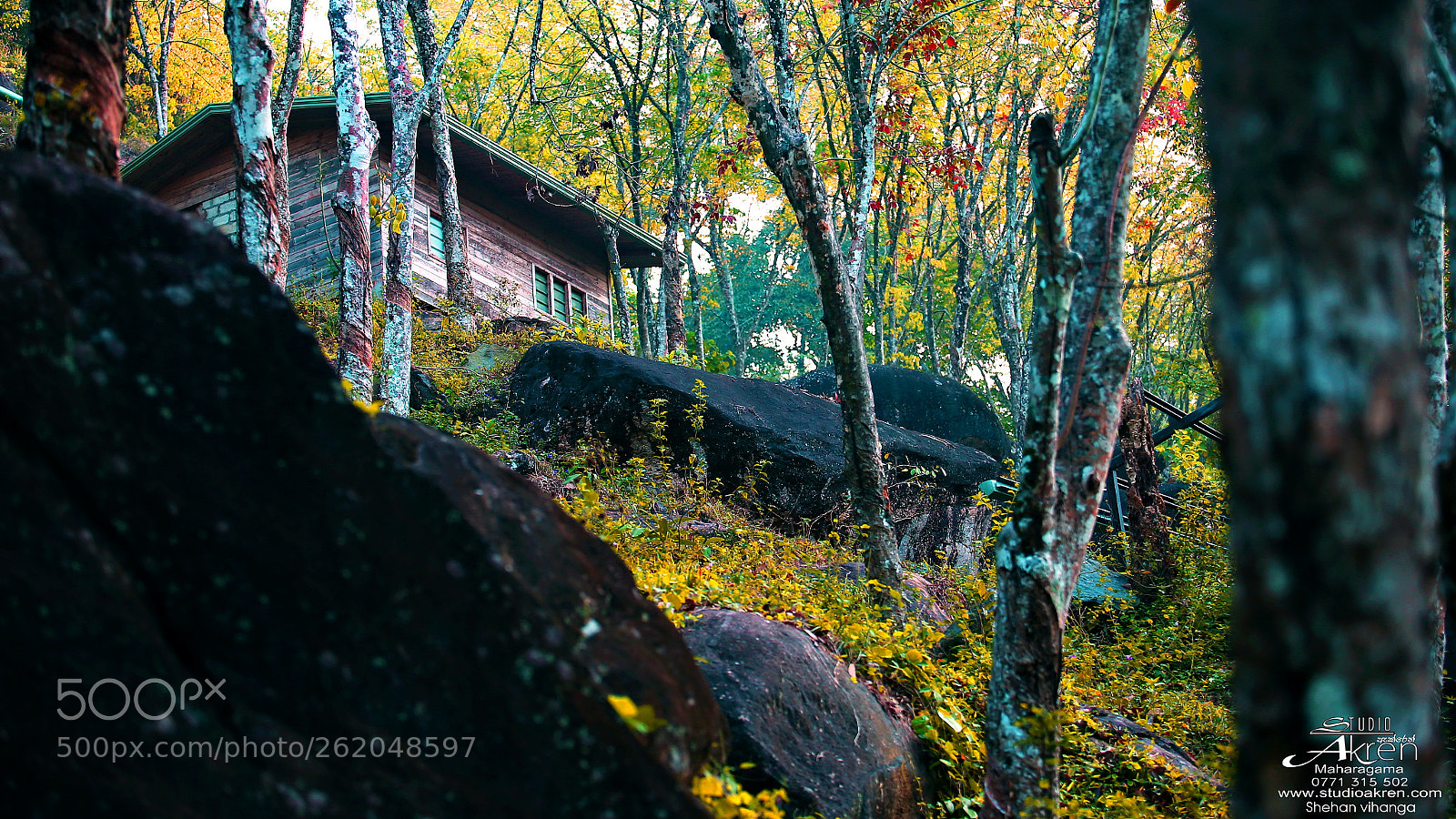 Canon EOS 6D sample photo. Cabin in the woods photography