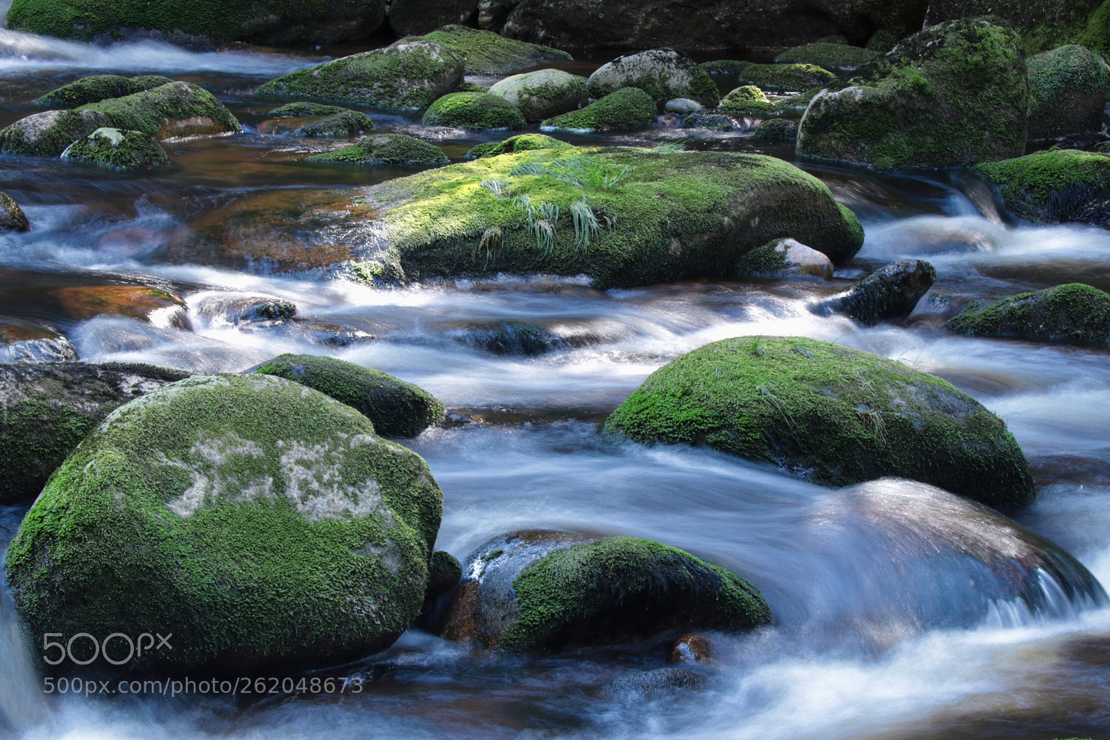 Canon EOS 80D sample photo. Mountain river vydra photography