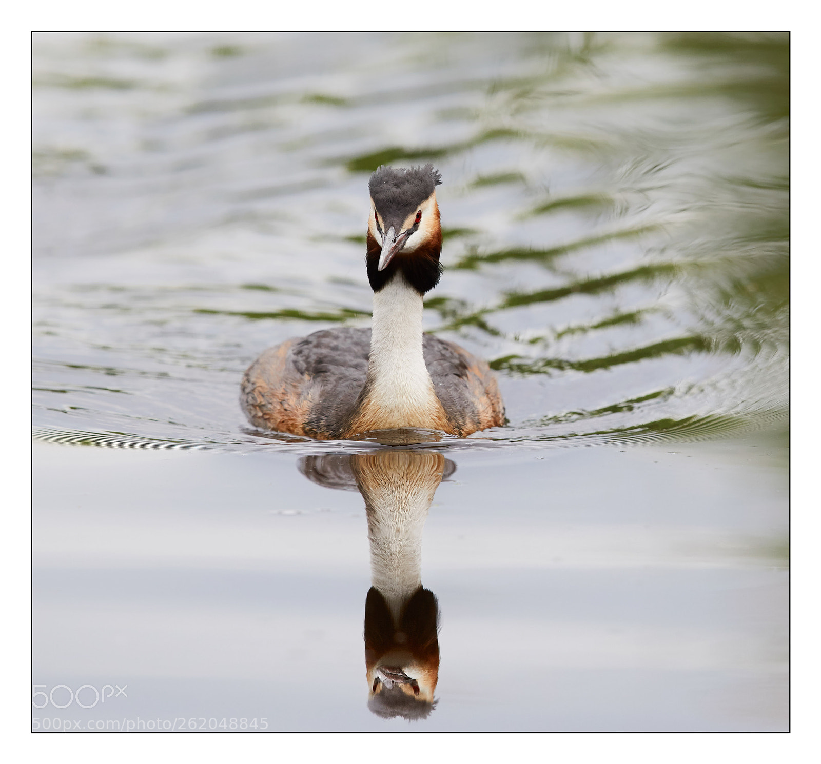 Canon EOS 5D Mark IV sample photo. Miroir photography