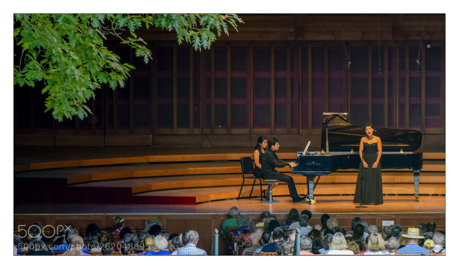 Nikon D810 sample photo. Tanglewood photography
