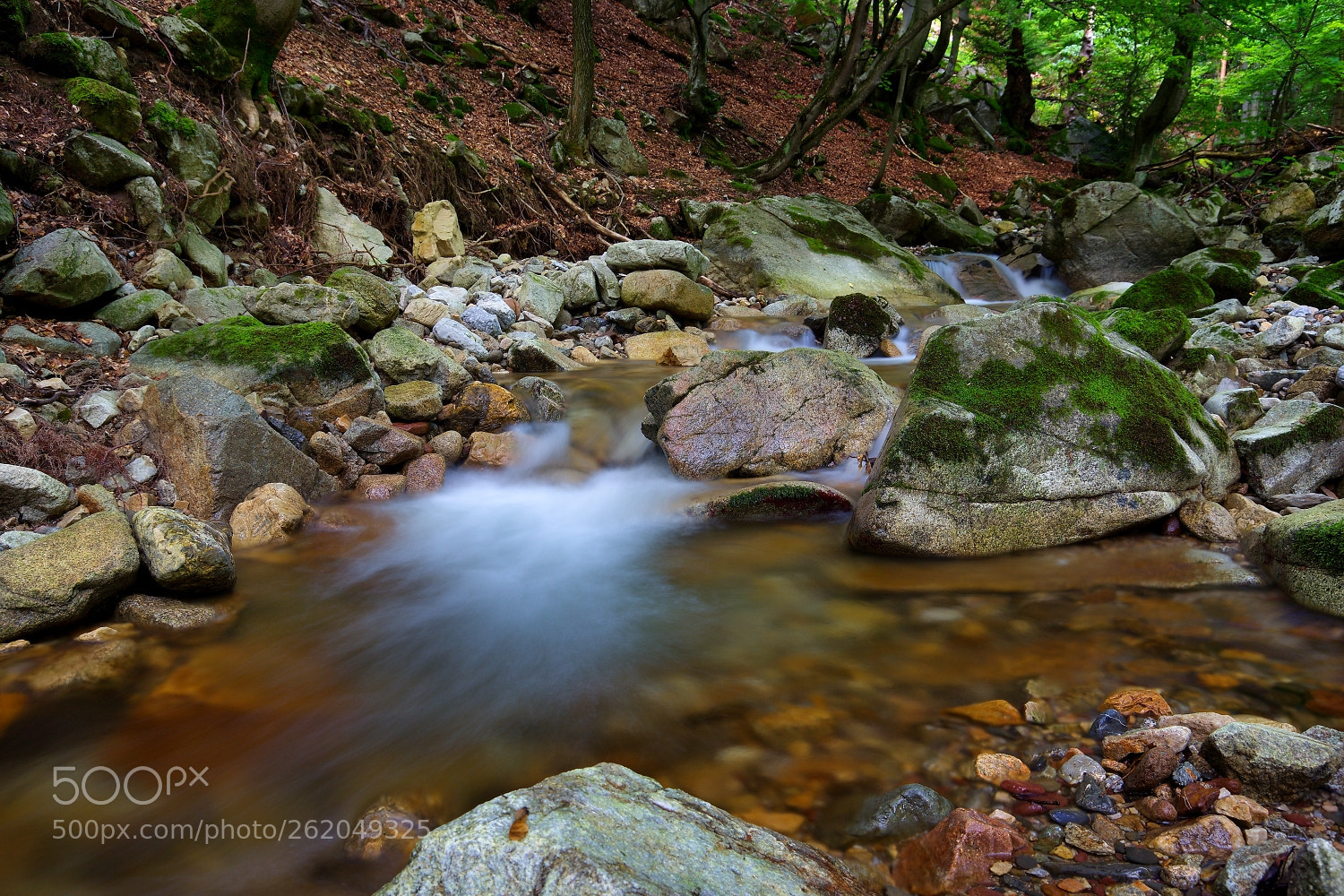 Canon EOS 60D sample photo. Slovak nature 102. photography