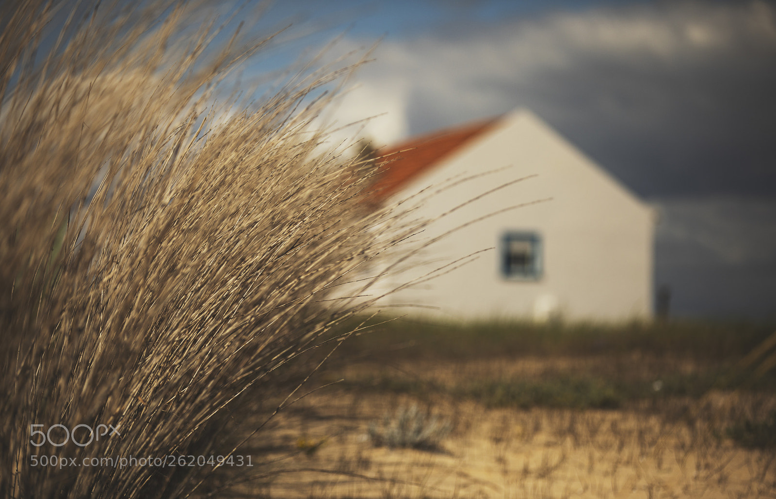 Canon EOS 5D Mark IV sample photo. Untitled photography