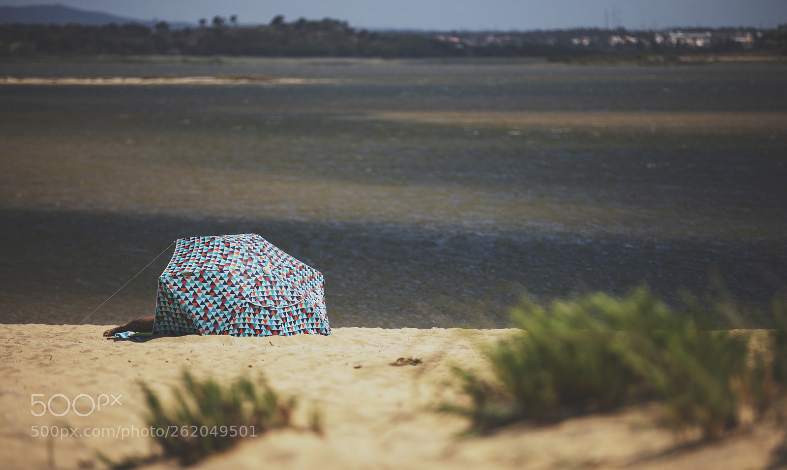 Canon EOS 5D Mark IV sample photo. Untitled photography