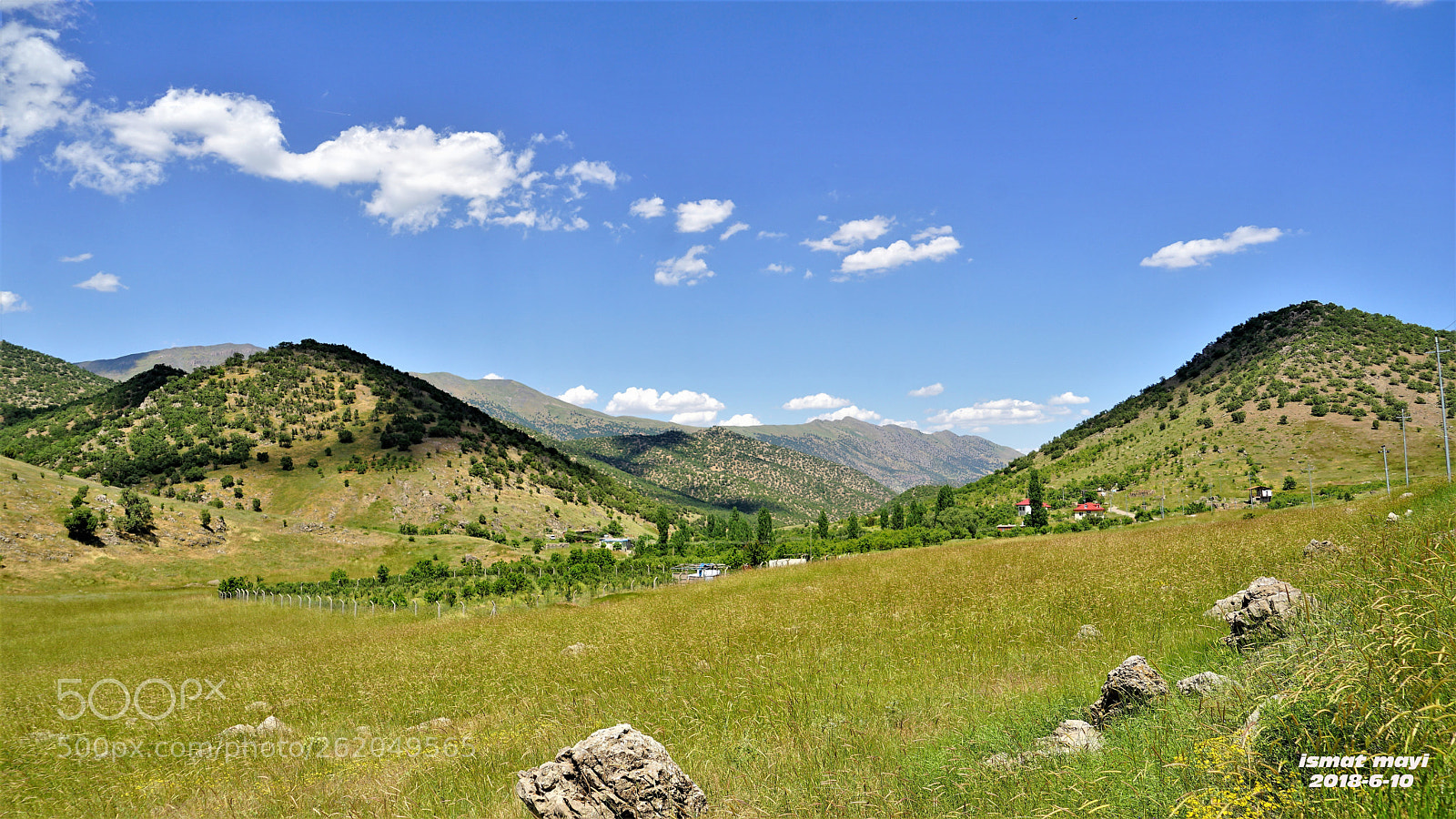 Sony a7 II sample photo. 44.jpg photography