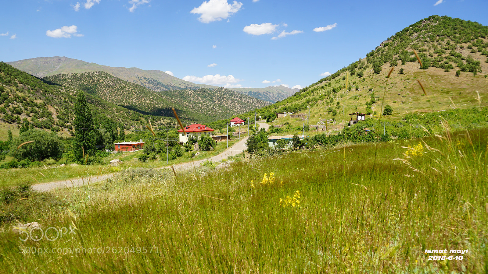 Sony a7 II sample photo. 48.jpg photography