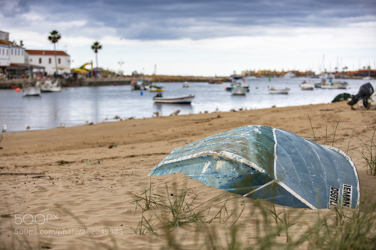 Canon EOS 5D Mark IV sample photo. Untitled photography