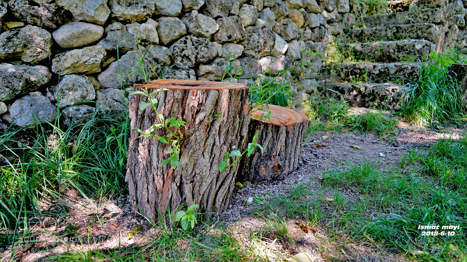 Sony a7 II sample photo. 2.jpg photography