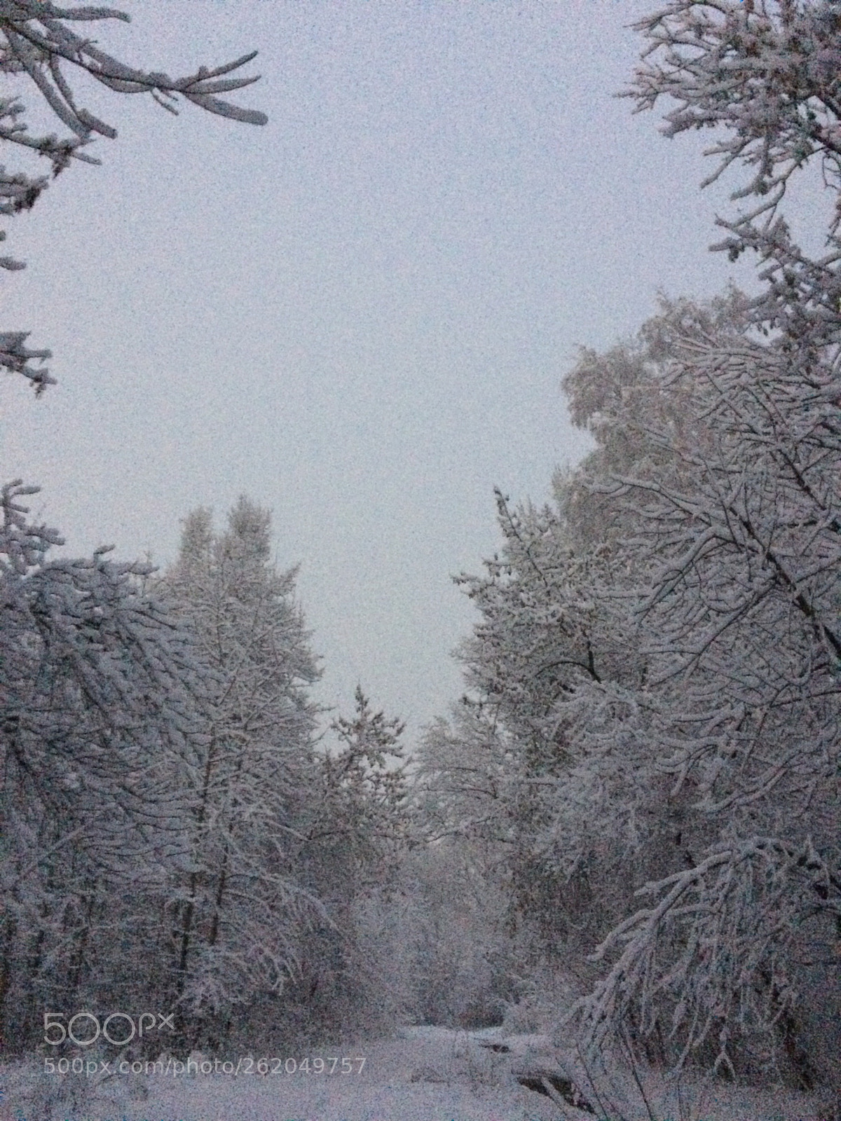 Apple iPhone 5s sample photo. Snow  photography