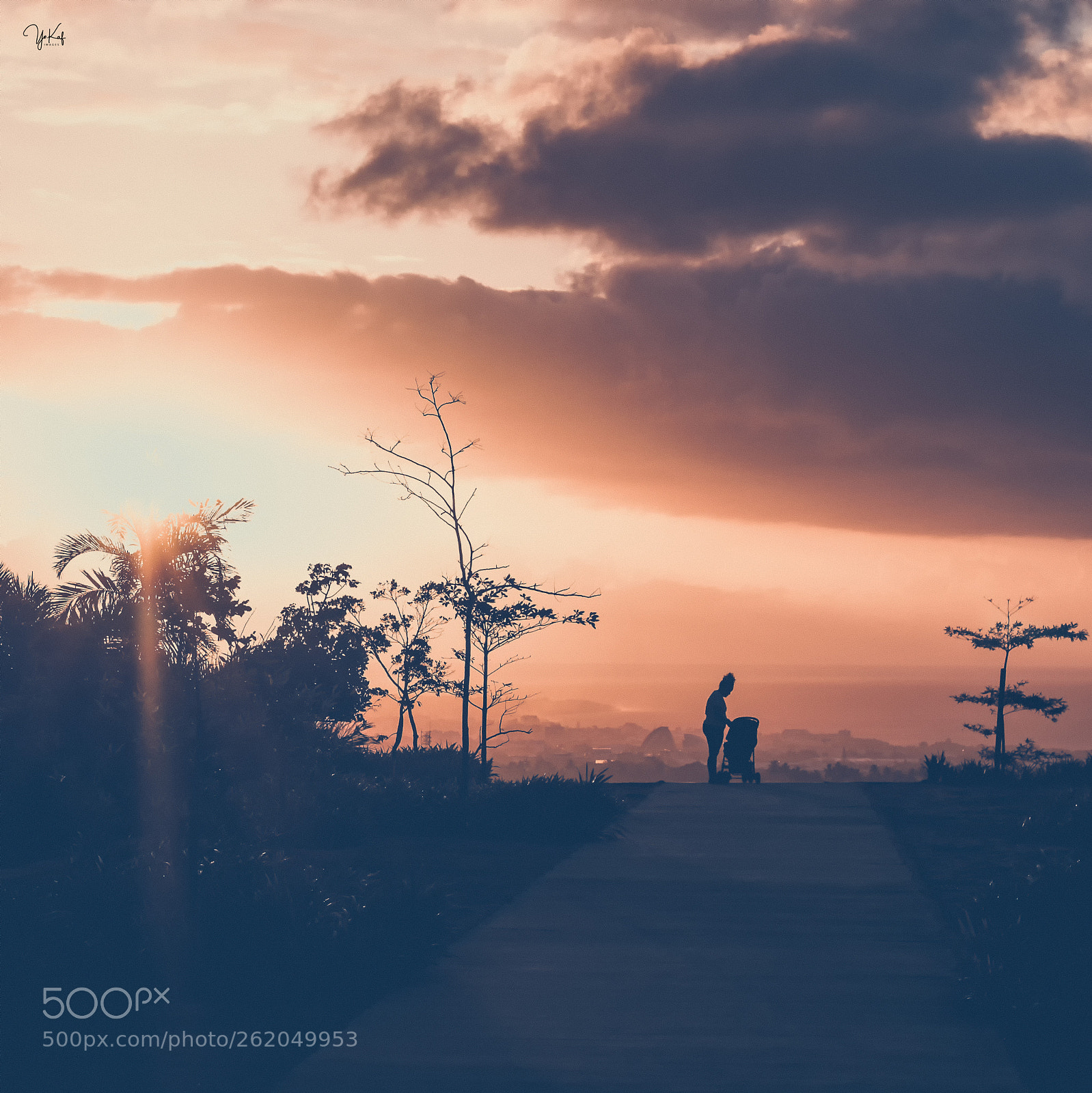 Sony Alpha NEX-6 + Sony DT 50mm F1.8 SAM sample photo. Ekta sunset photography