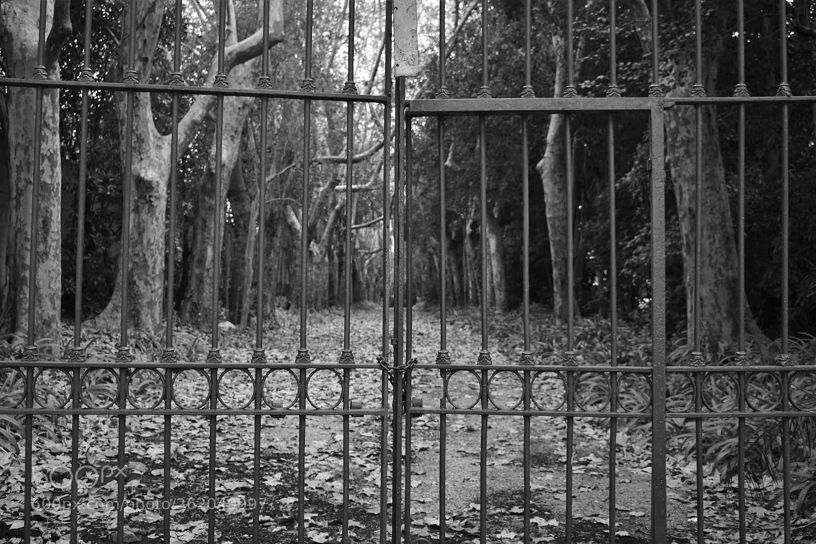 Nikon D3400 sample photo. The door to eden photography