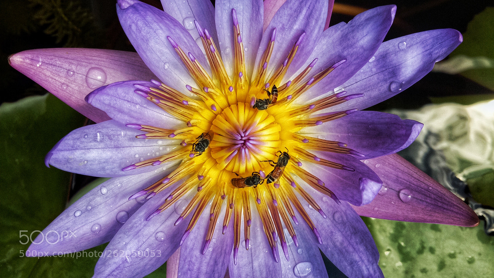 OPPO A1601 sample photo. Untitled photography