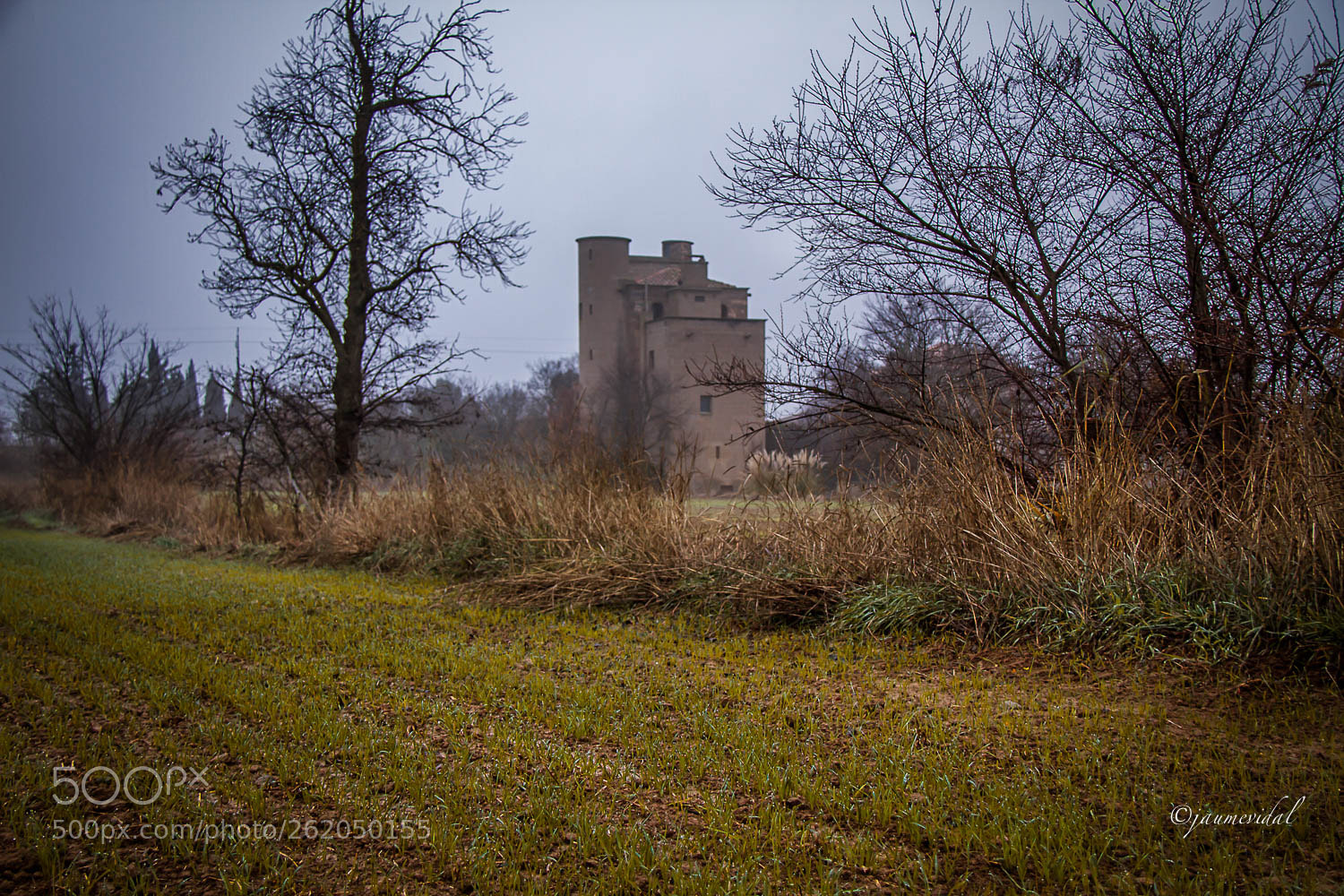 Canon EOS 7D sample photo. Comarca de la segarra photography