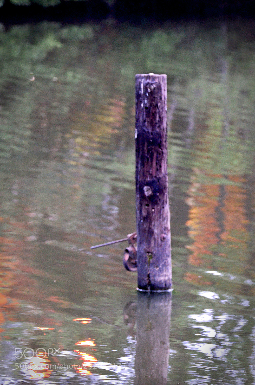 Nikon D7000 sample photo. Piling at dawn photography