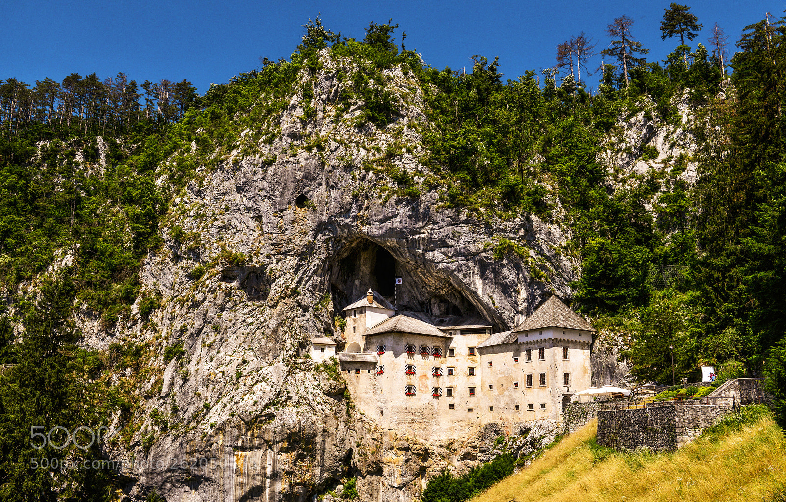 Nikon D800 sample photo. Predjama castle photography