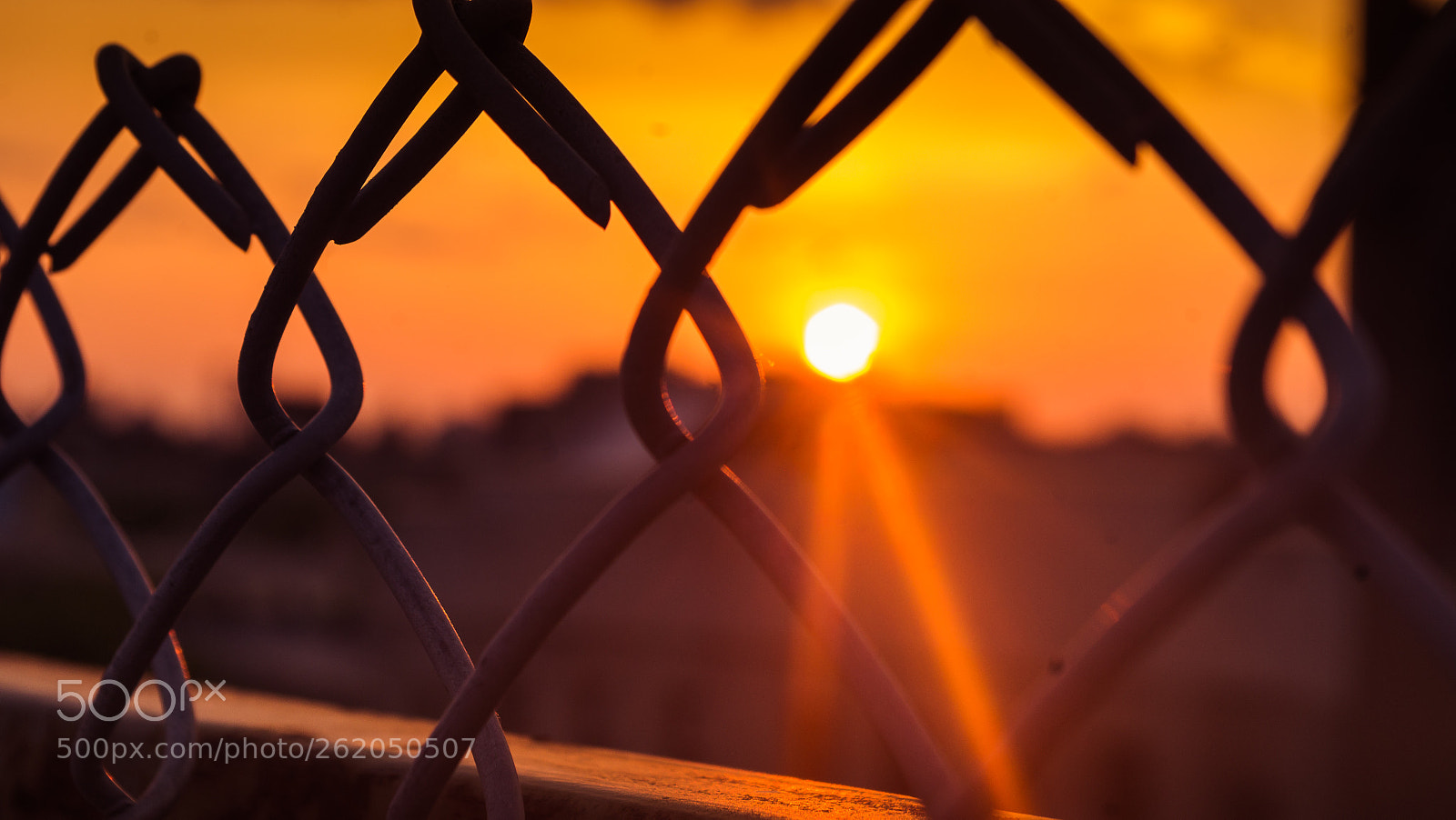 Pentax K-01 sample photo. Sunset through a grid photography