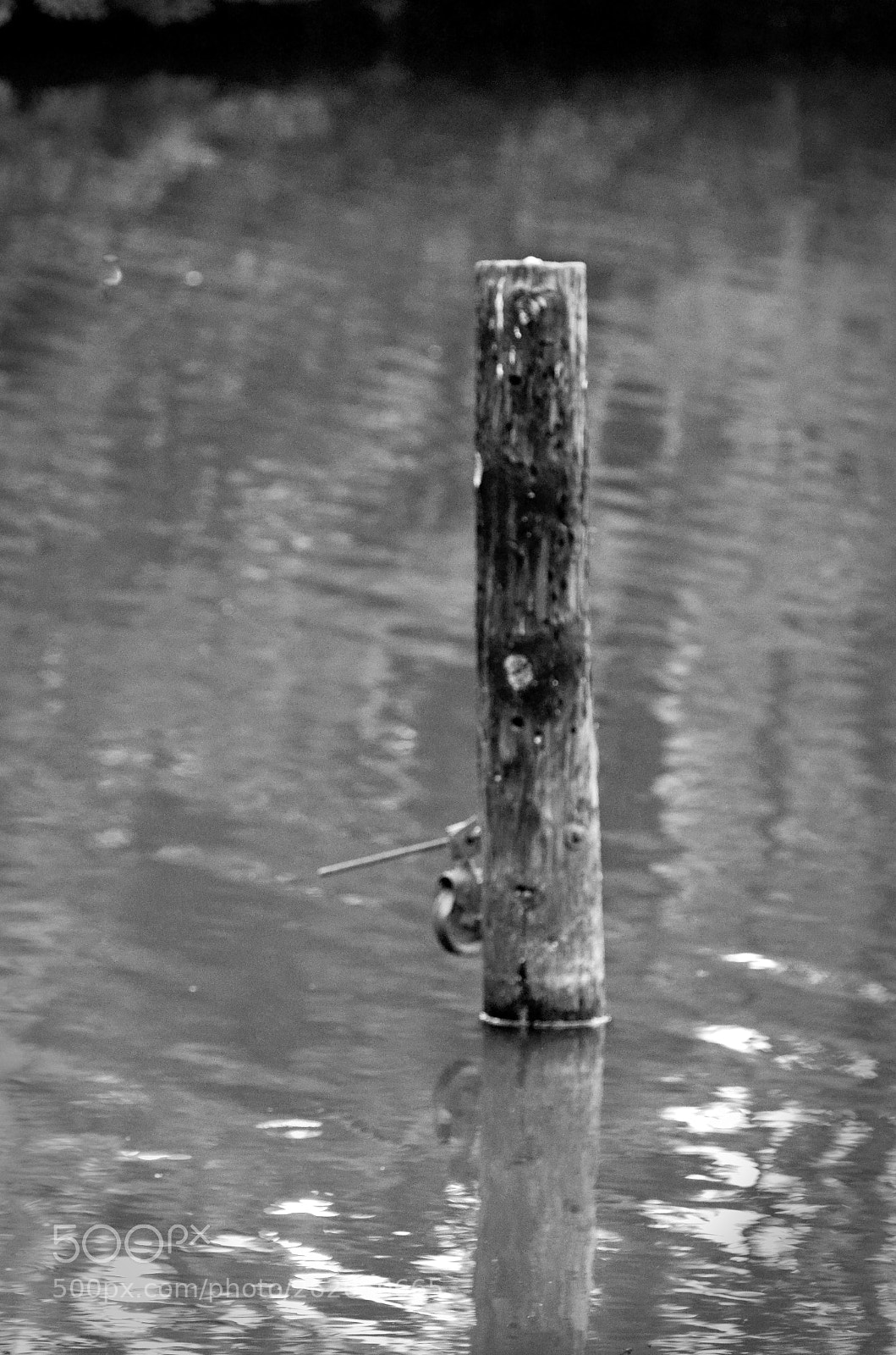 Nikon D7000 sample photo. Piling at dawn b photography