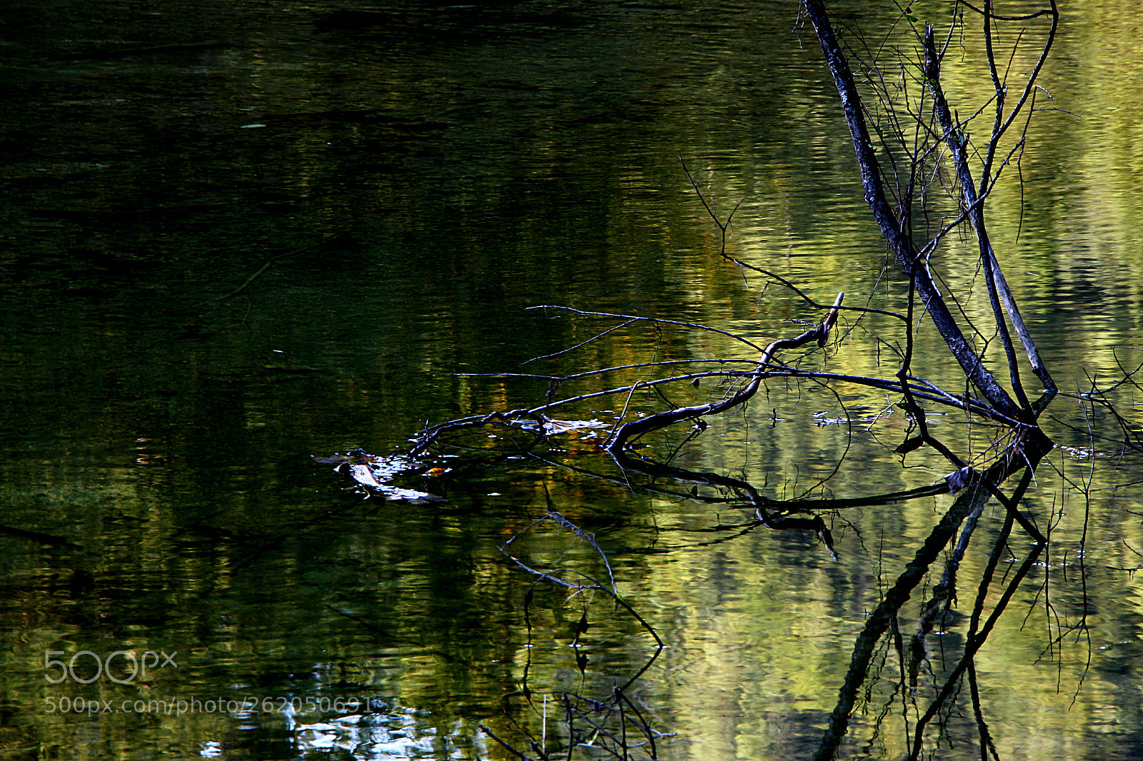 Canon EOS 700D (EOS Rebel T5i / EOS Kiss X7i) sample photo. Reflection photography