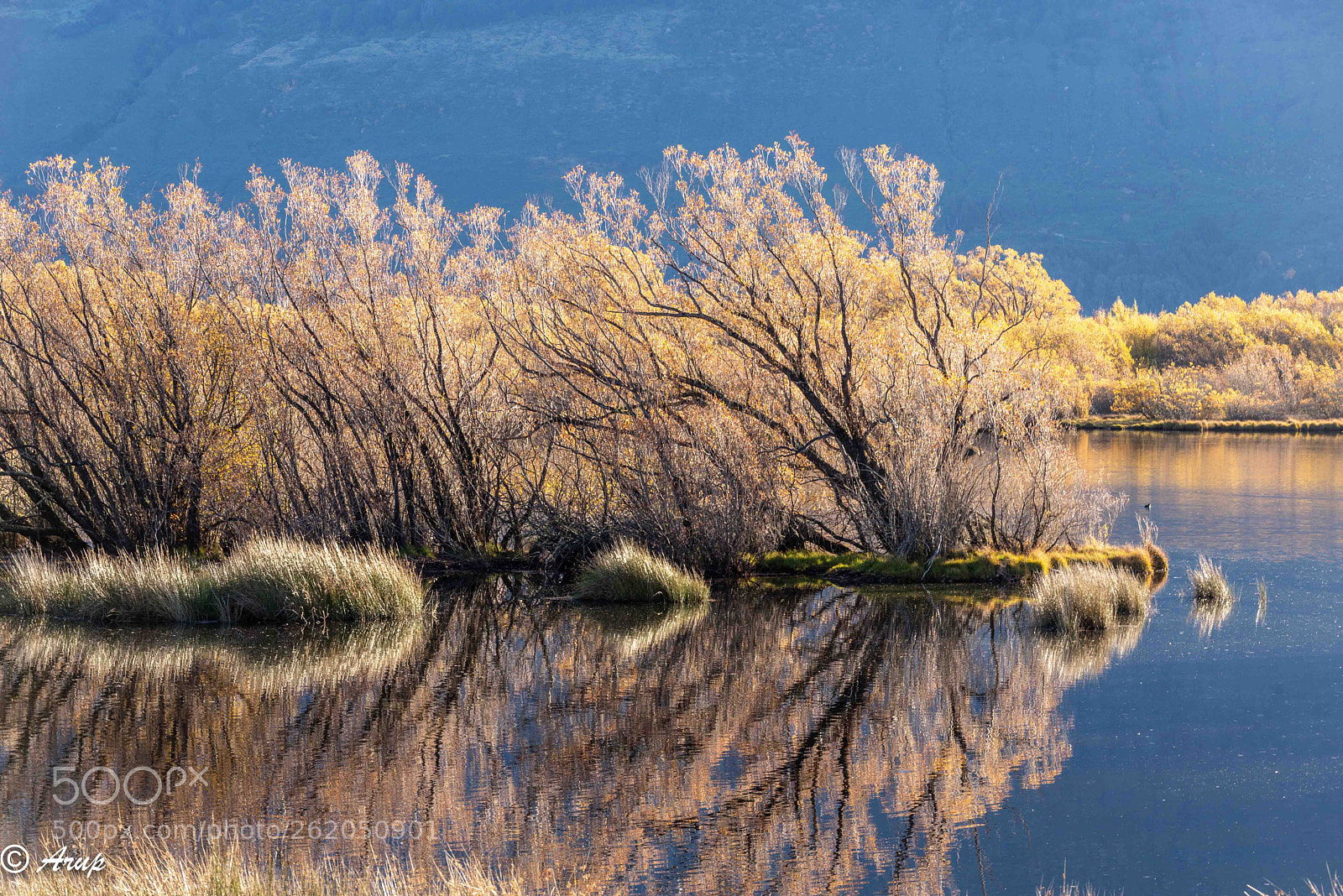 Nikon D610 sample photo. Reflections of our mind photography