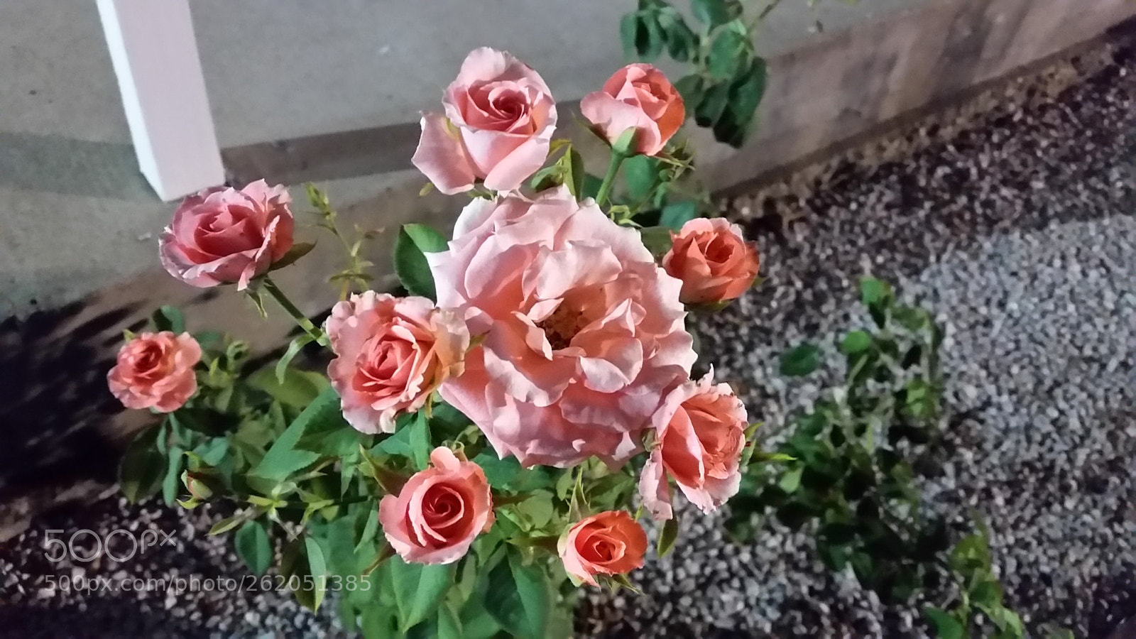Samsung Galaxy S5 sample photo. Untitled photography