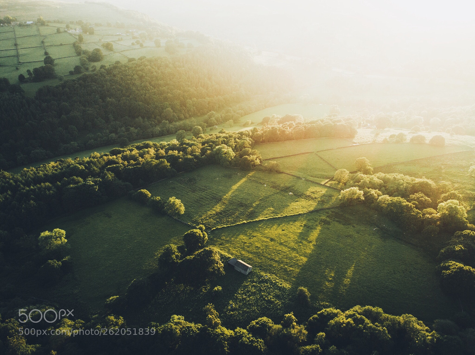 DJI FC6310 sample photo. Golden farm photography