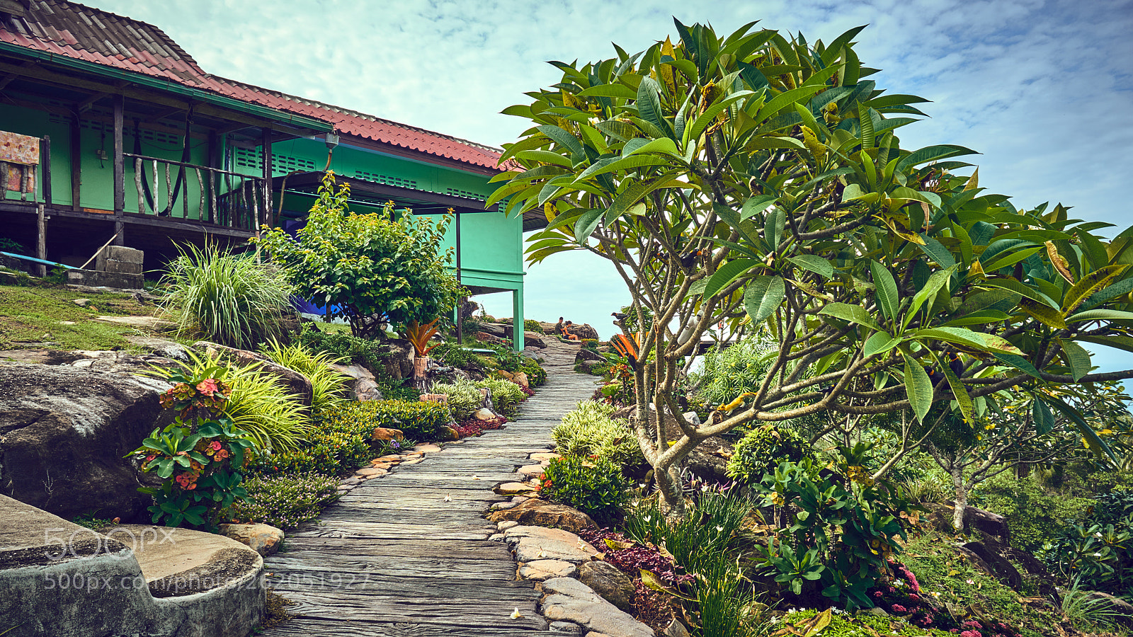 Sony a6500 sample photo. Walkway photography