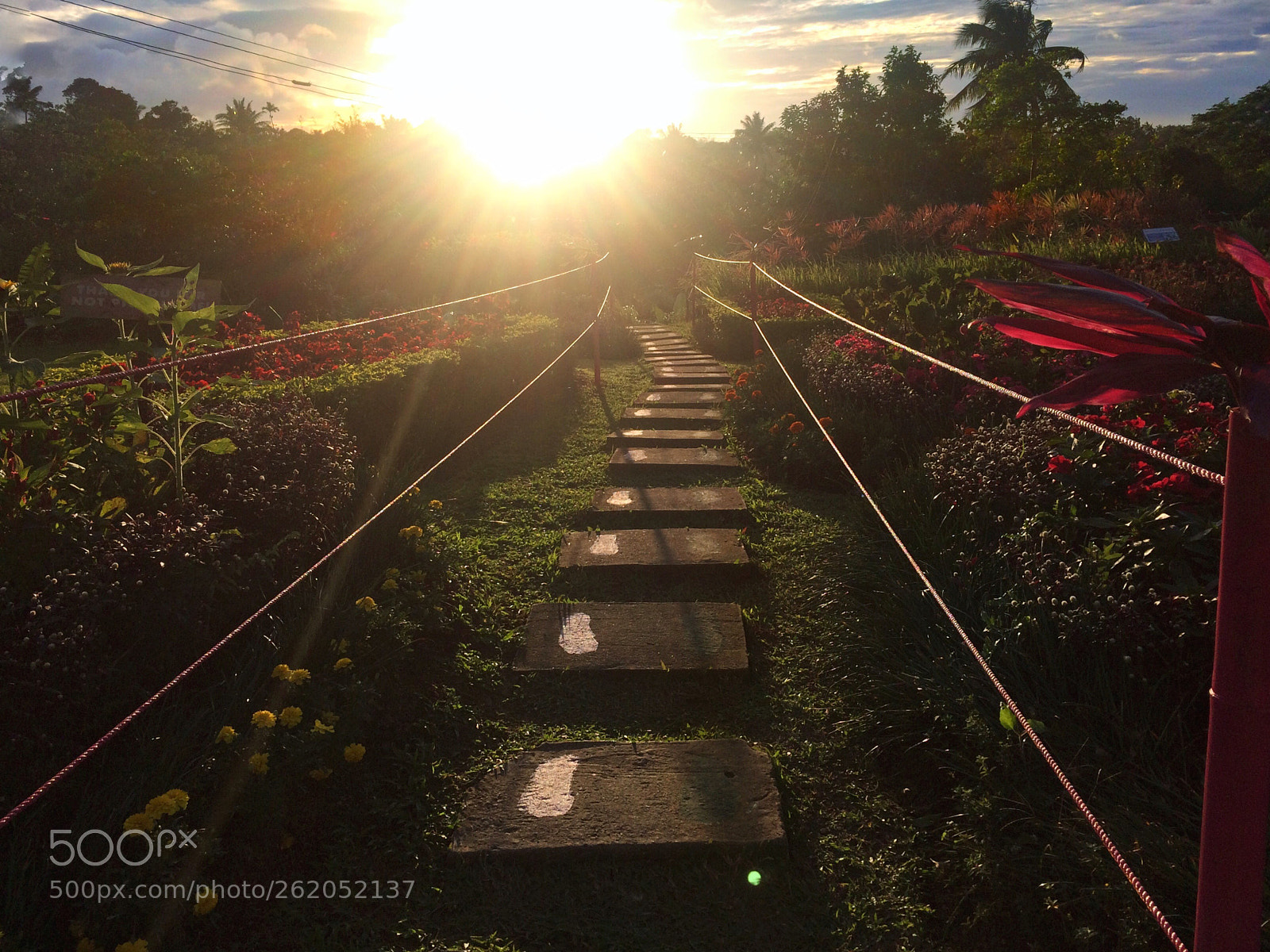 Apple iPhone 5s sample photo. A walk to remember photography