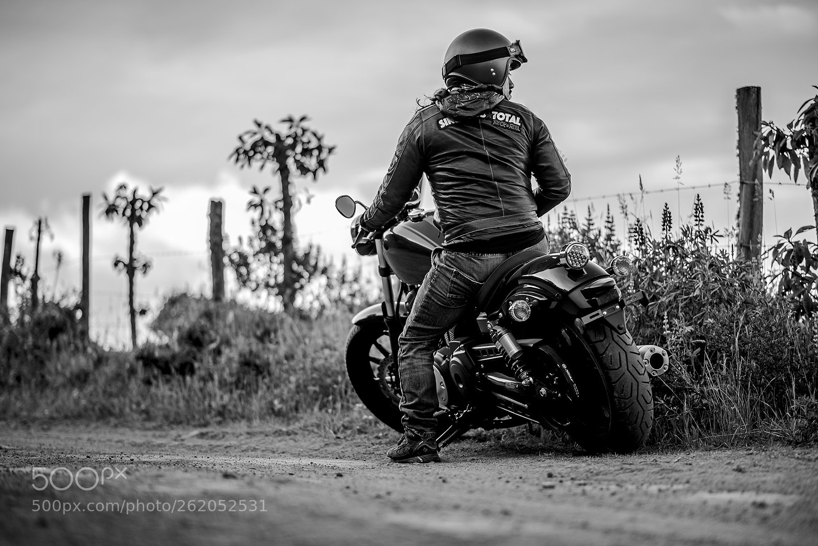 Nikon D750 sample photo. Motocyclist photography