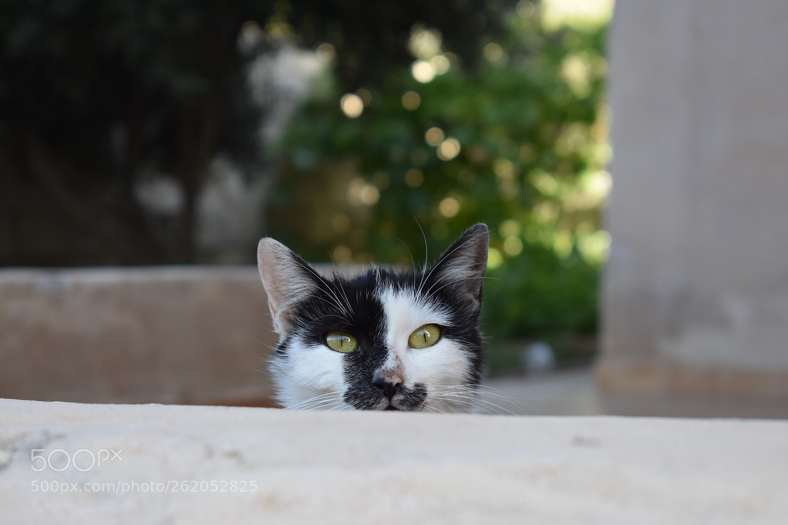 Nikon D3400 sample photo. Untitled photography