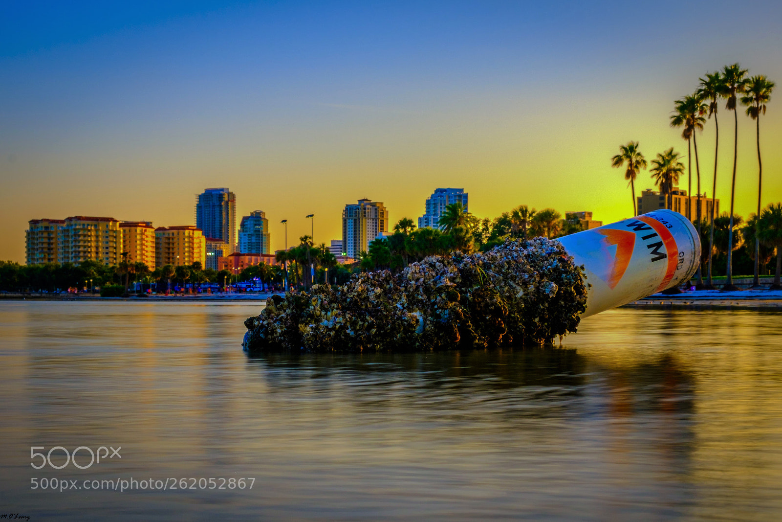 Fujifilm X-T20 sample photo. Out of bounds- st.pete photography