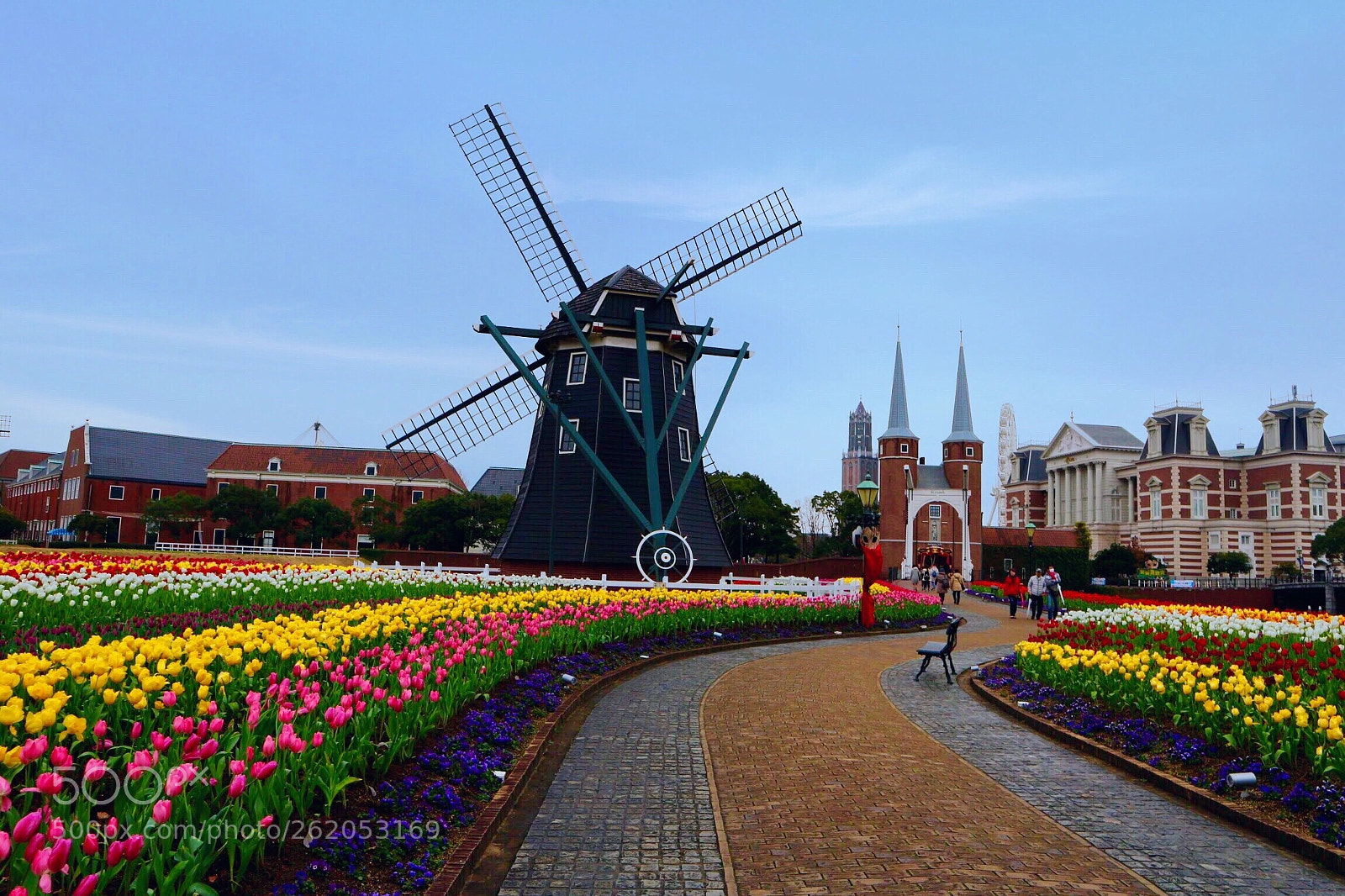 Canon EOS M10 sample photo. Flower road. photography