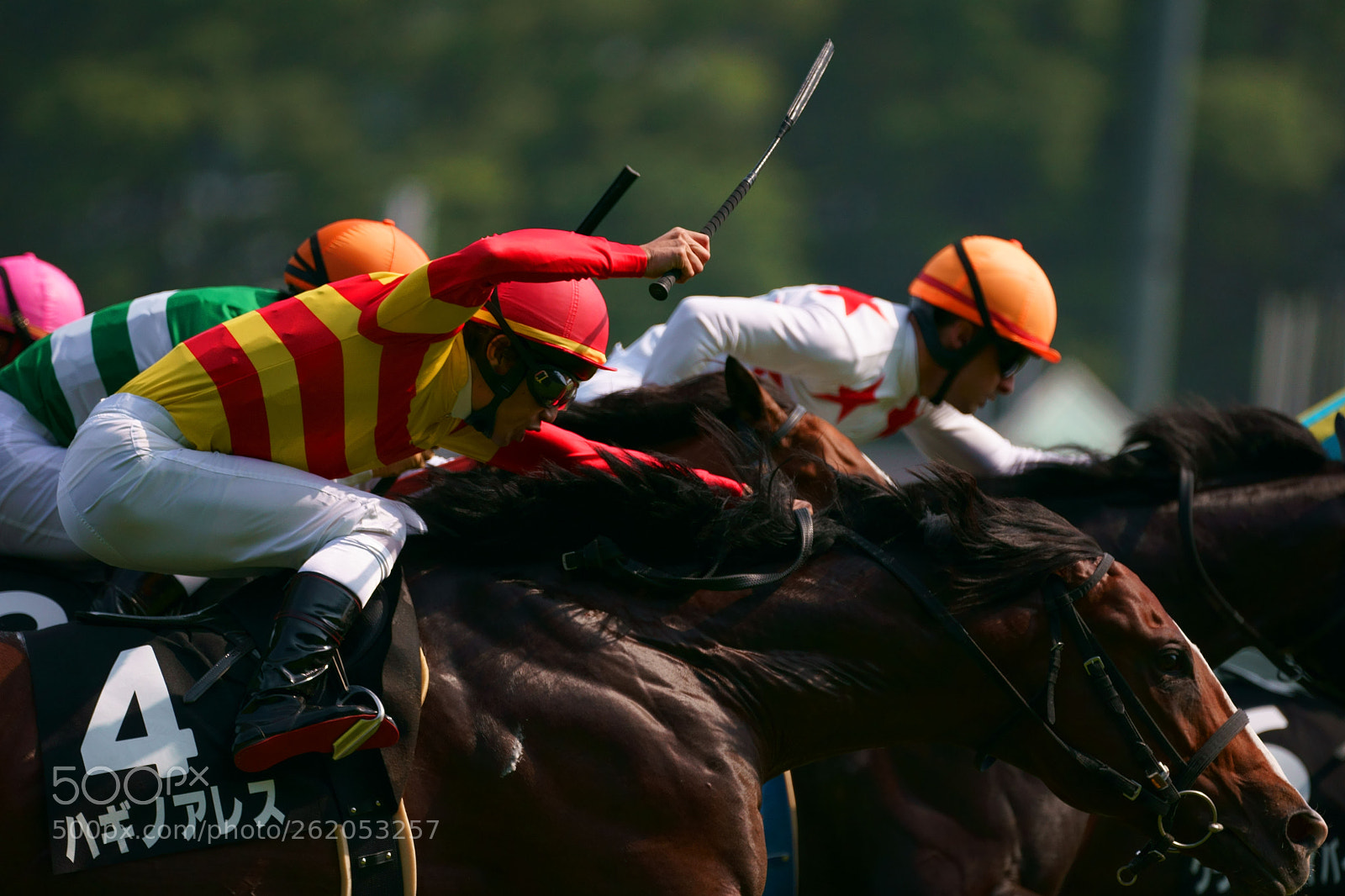 Sony a9 sample photo. Horse race photography