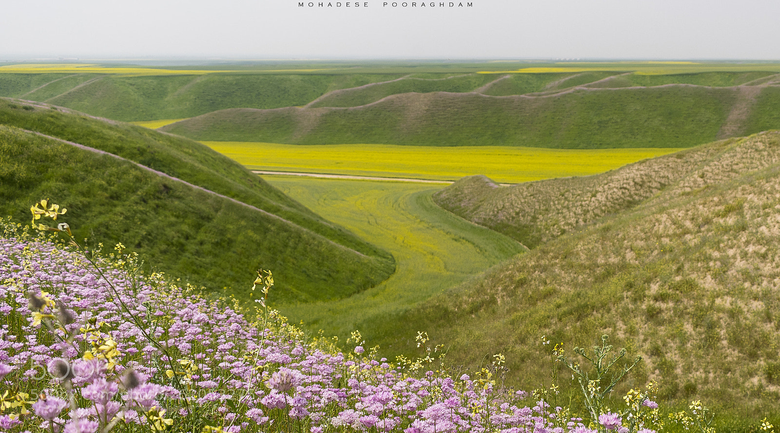 Nikon D5300 sample photo. Mountains and flowers photography