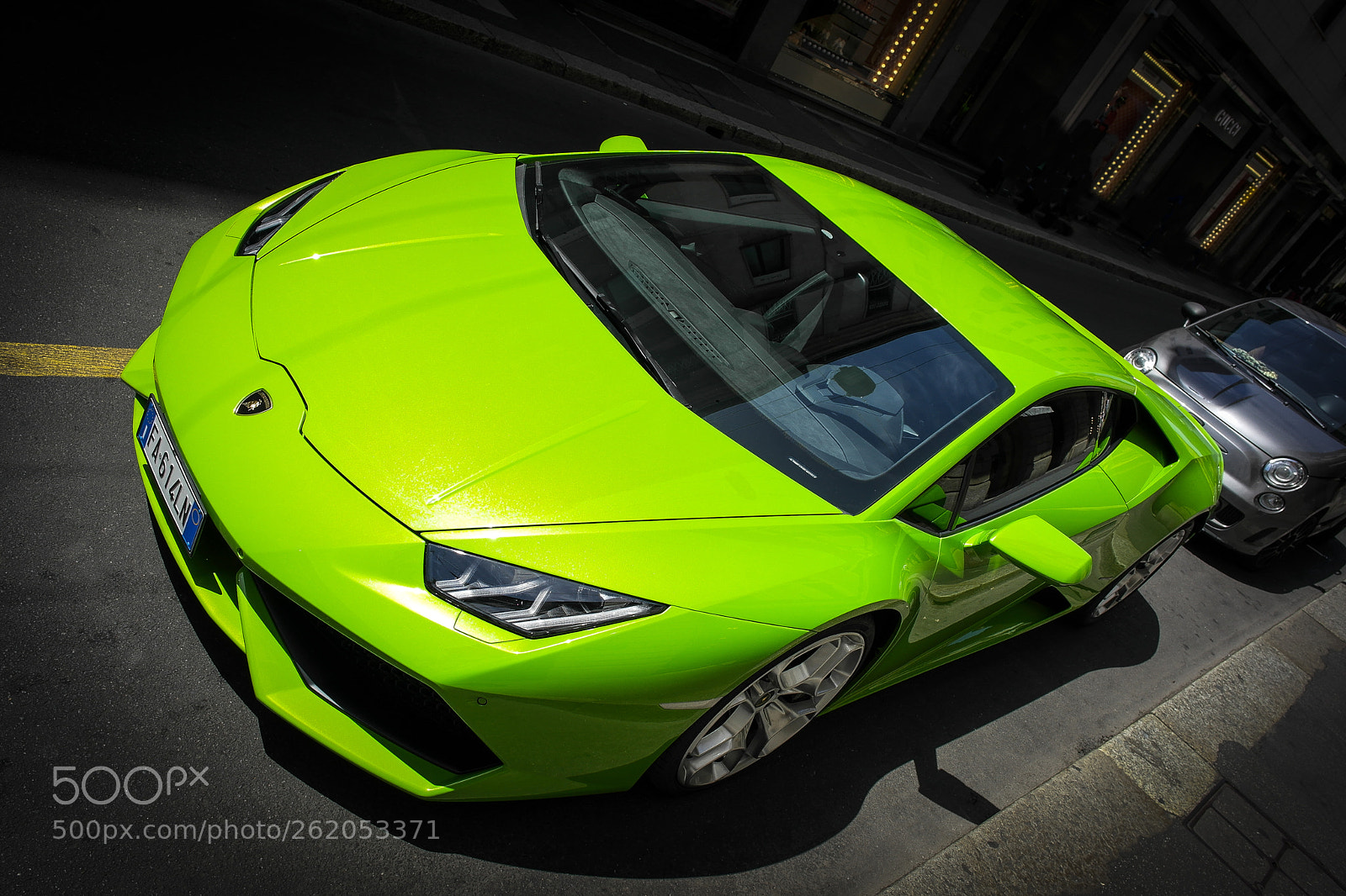 Samsung NX1000 sample photo. Poison green beast photography
