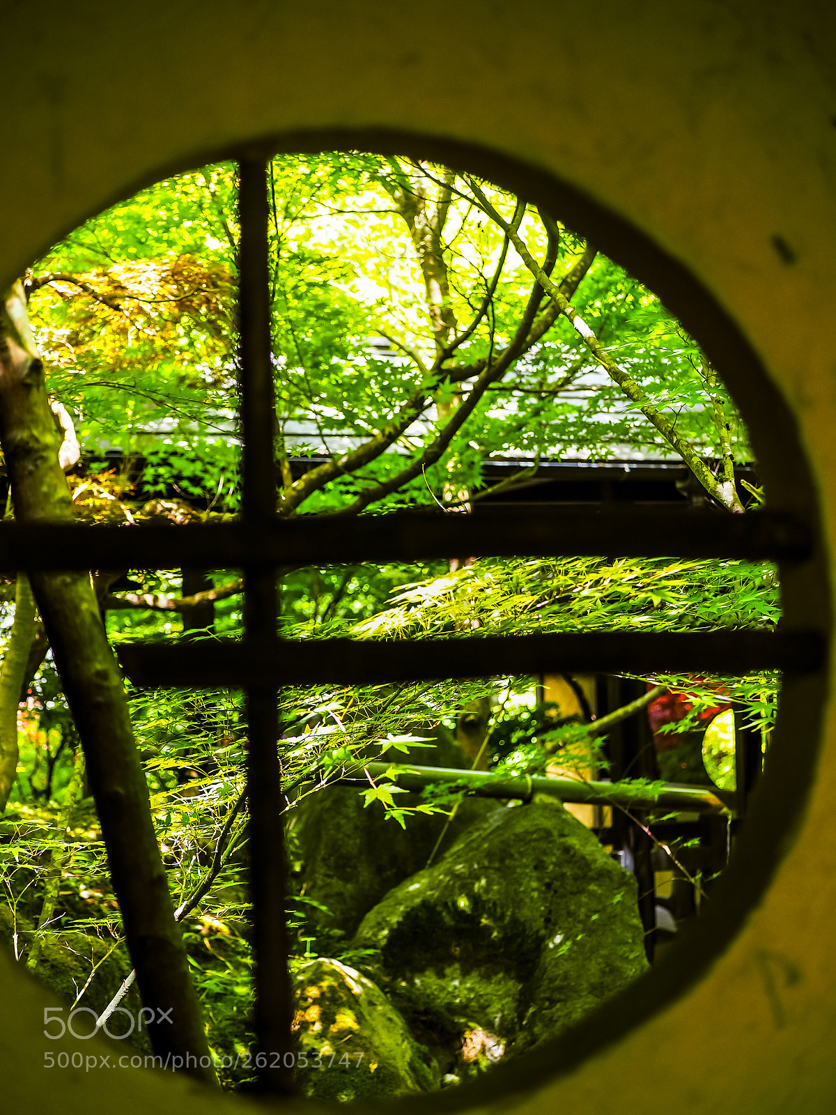 Olympus OM-D E-M10 II sample photo. Looking through the window photography