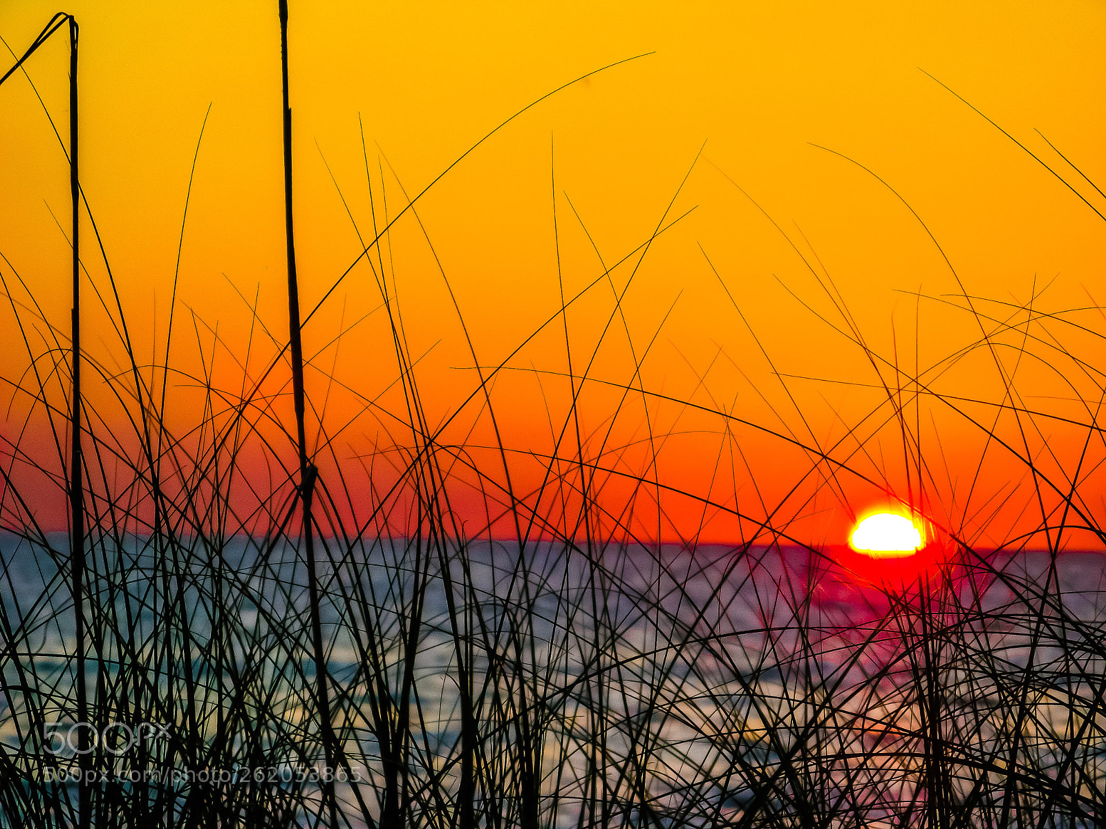 Canon POWERSHOT A710 IS sample photo. Anna maria island photography