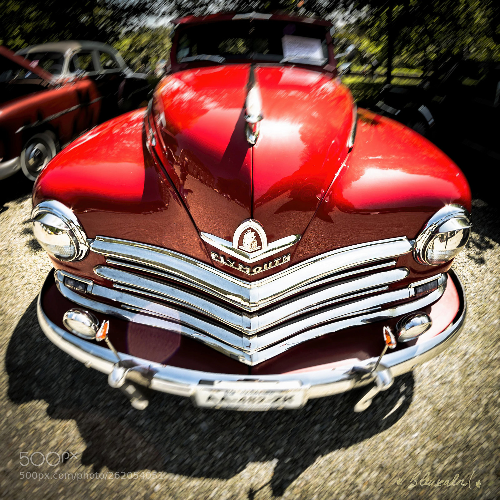 Nikon D800 sample photo. " american's lovers " photography