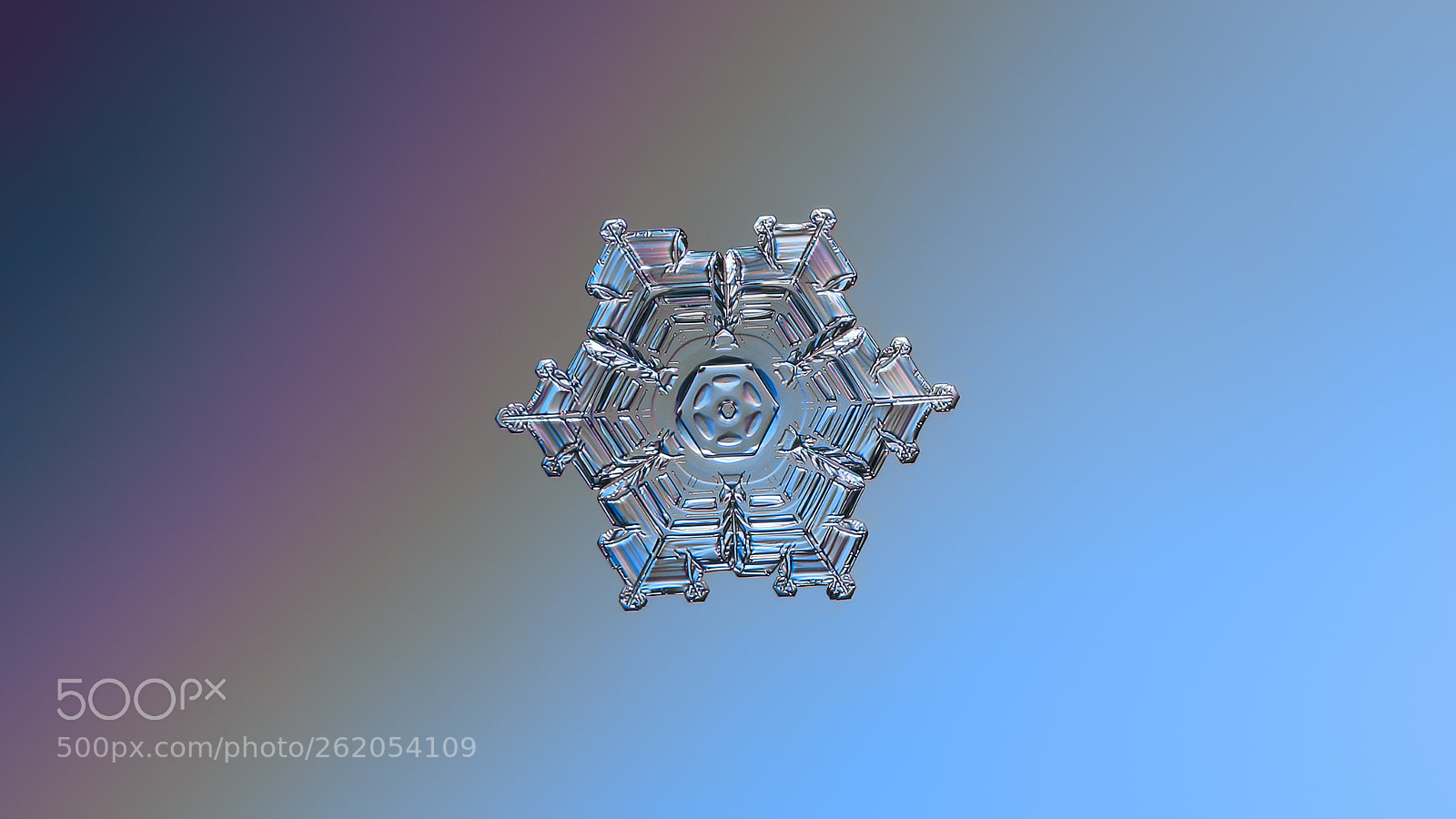 Canon POWERSHOT A650 IS sample photo. Real snowflake macro photo photography
