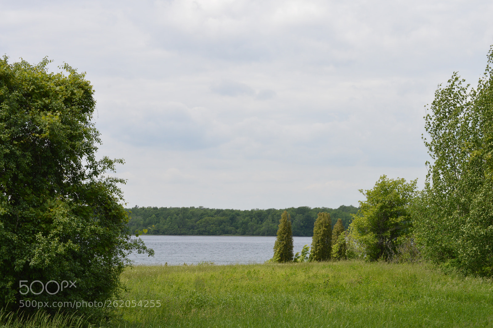 Nikon D3200 sample photo. Slice of st. lawrence photography