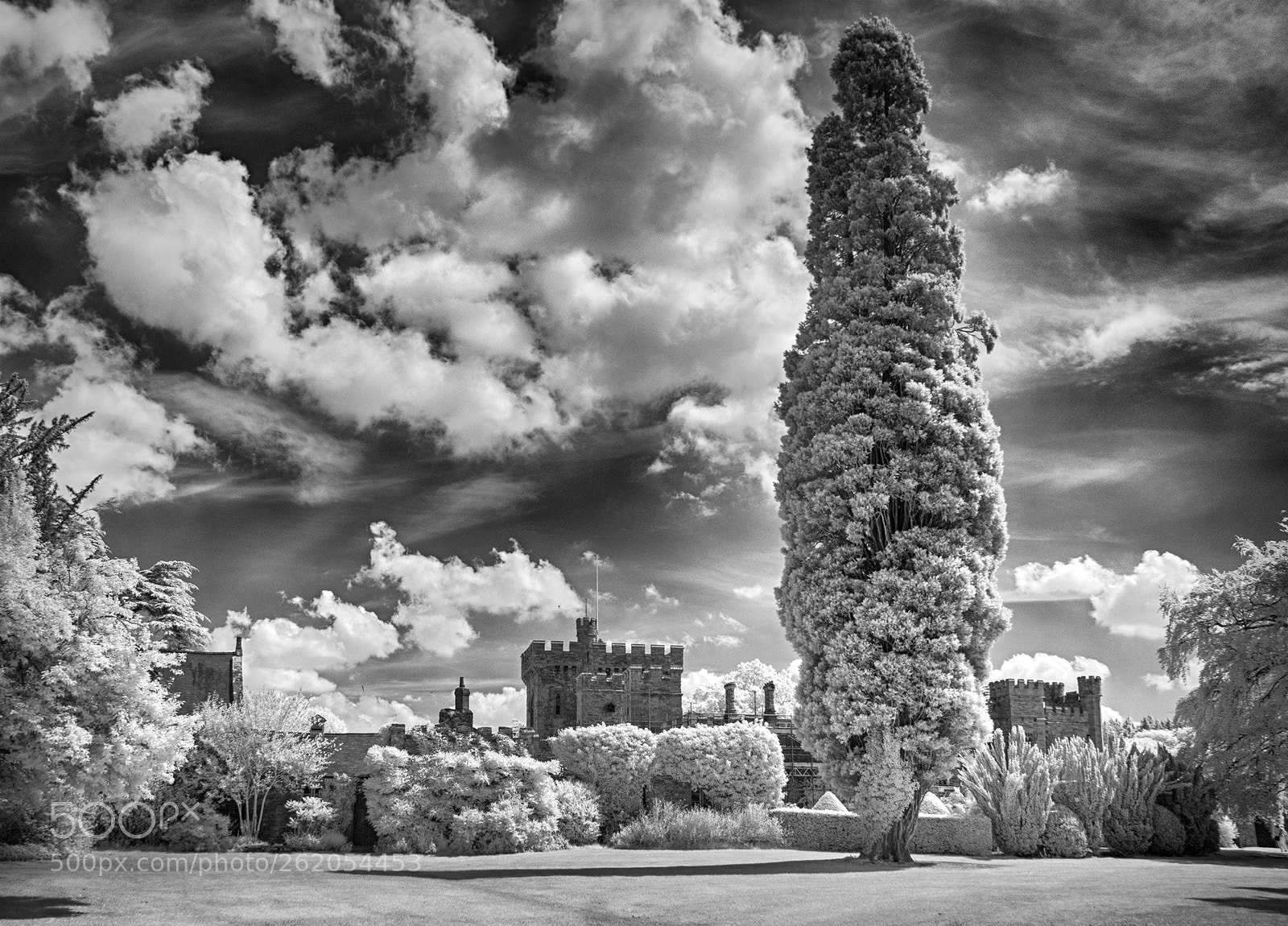 Sony Alpha DSLR-A100 sample photo. Hampton court castle herefordshire photography