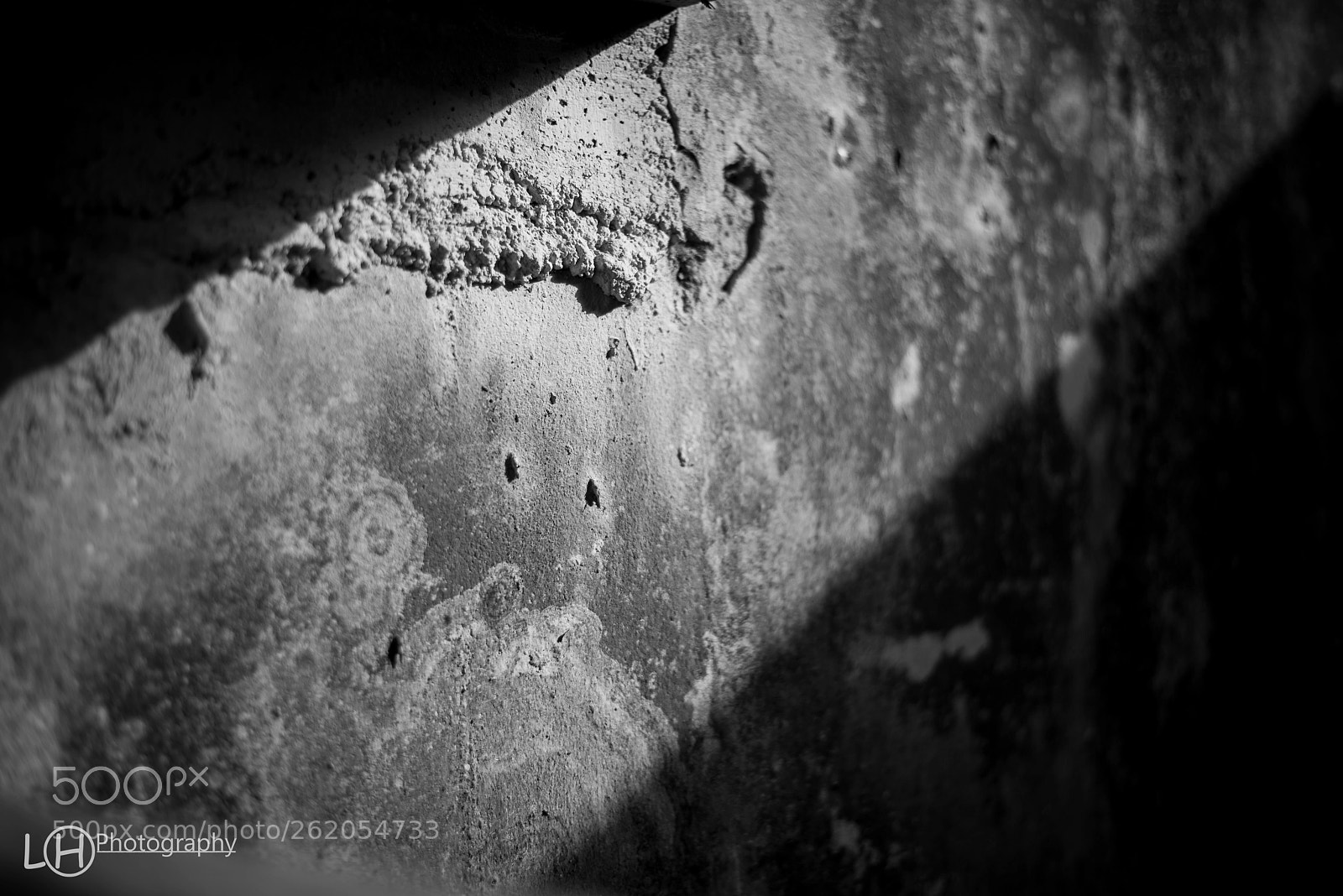 Nikon D810 sample photo. Untitled photography