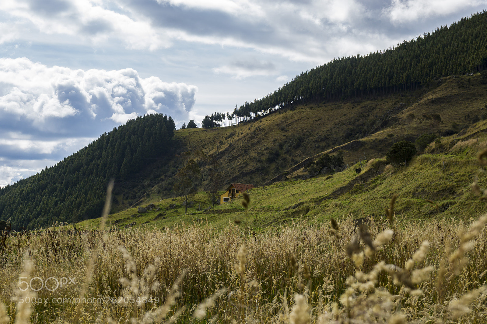 Sony a6000 sample photo. Dsc photography