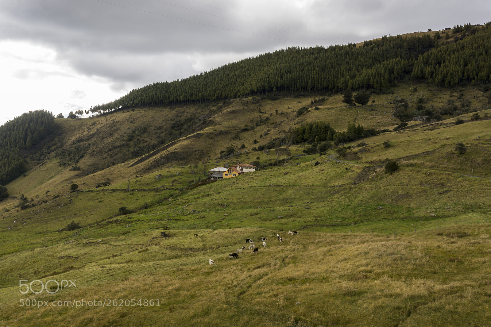 Sony a6000 sample photo. Dsc photography