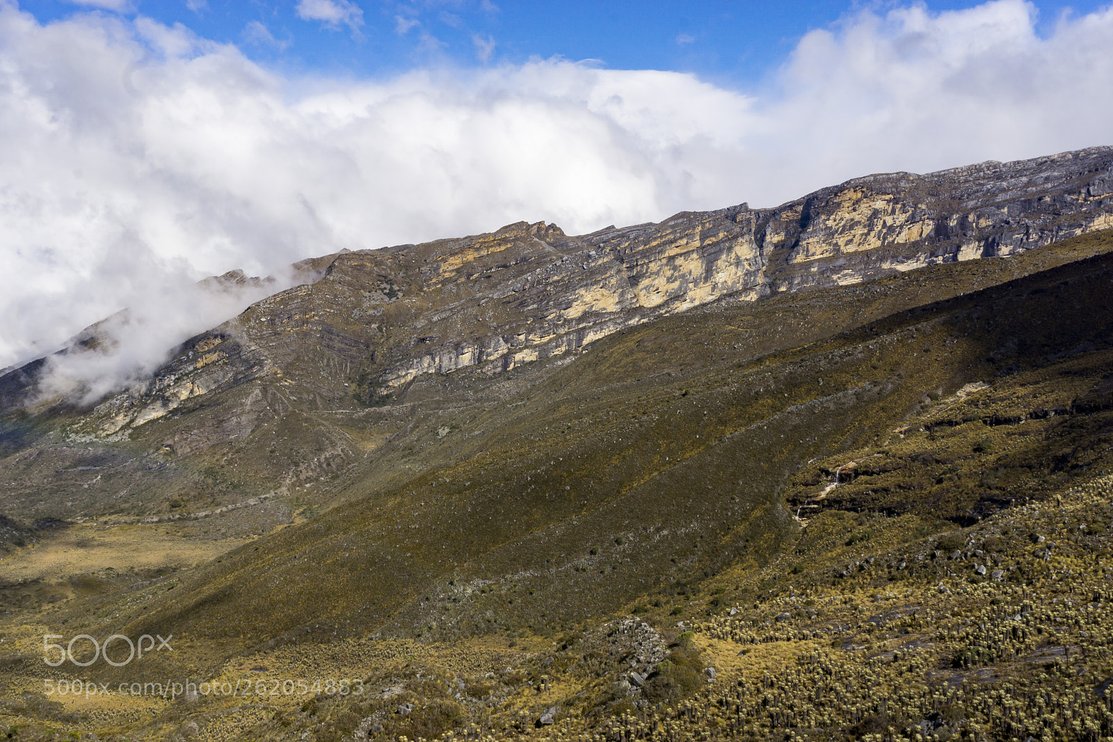 Sony a6000 sample photo. Dsc photography