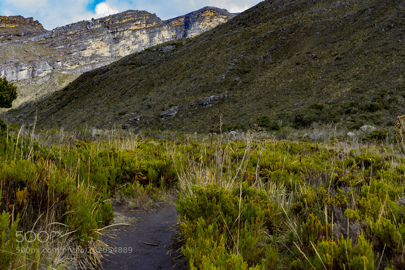 Sony a6000 sample photo. Dsc photography