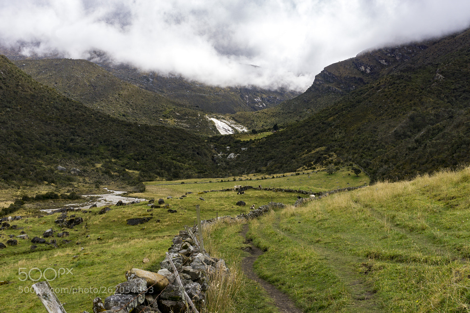 Sony a6000 sample photo. Dsc photography