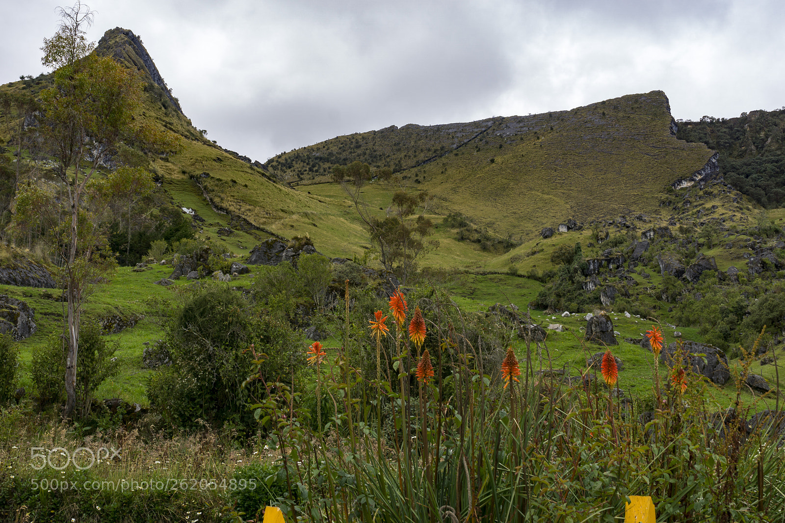 Sony a6000 sample photo. Dsc photography